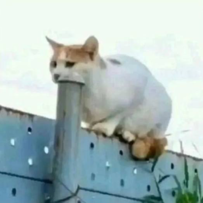 несанич
