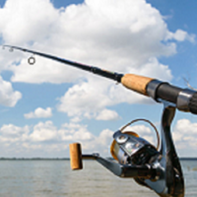 Reel Fun Charters