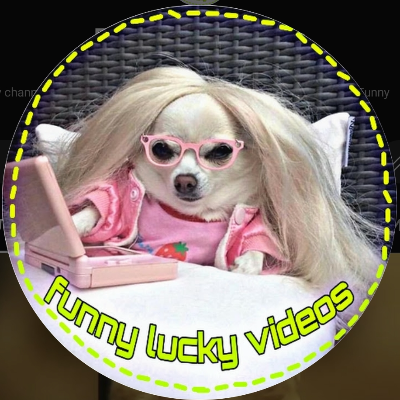 Funny Lucky Videos