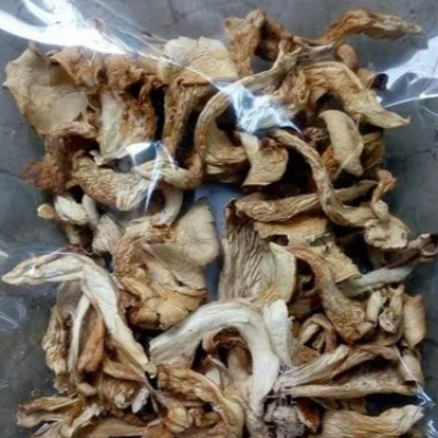 Weed, mushrooms, DMT, MDMA