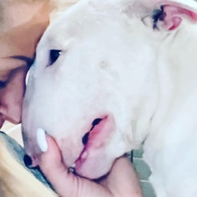 Nataliia Bullterrier