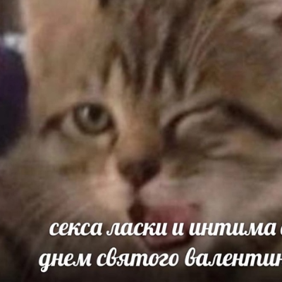 Камиль Тусовщик