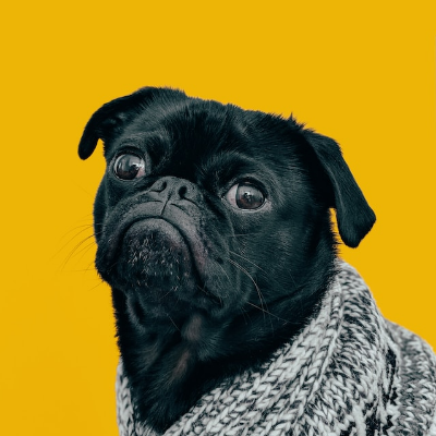 Bumble Vibe