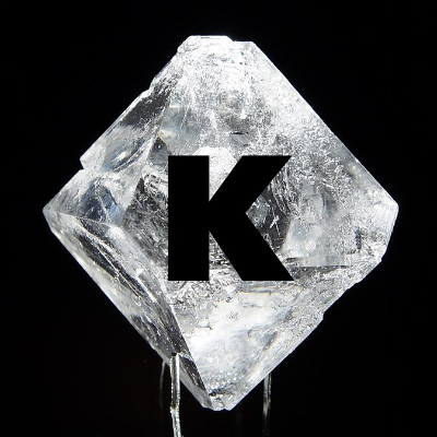 Домашняя конференция