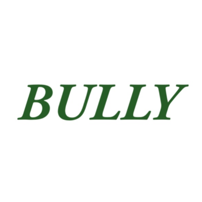 BULLY.moscow
