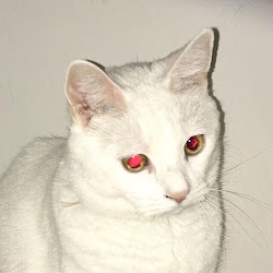 Константин Скирденко
