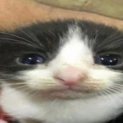 derkserk