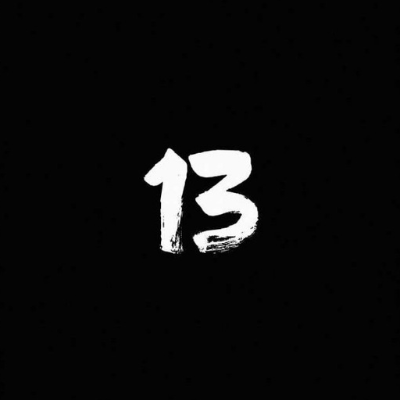 yangi_zebo13