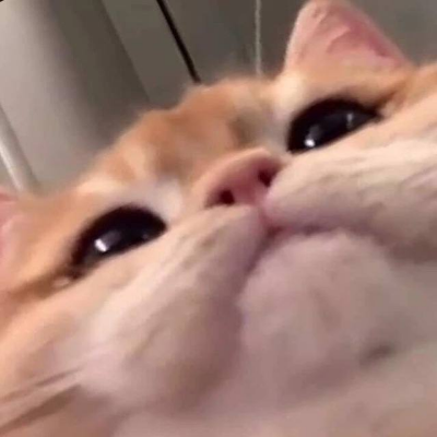 Anton