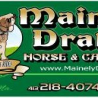 Mainely Drafts Horse And Carriage