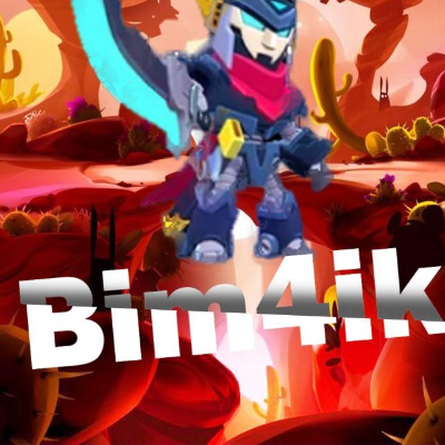 Bim4ik1103