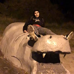 Никита Бахов