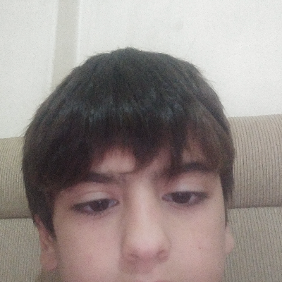 Mehmet Şibli