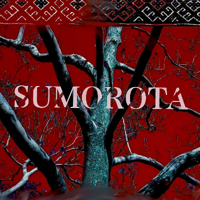 SUMOROTA project