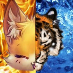 FoXeR :