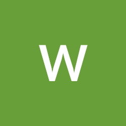 wellness footwear