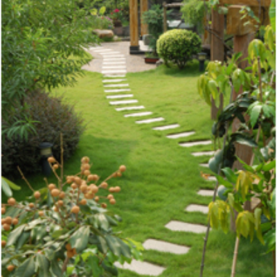 Complete Yard Service