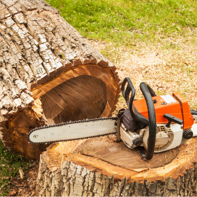 First Coast Choppers Tree Service