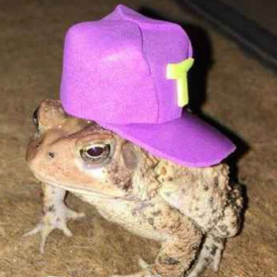 toad
