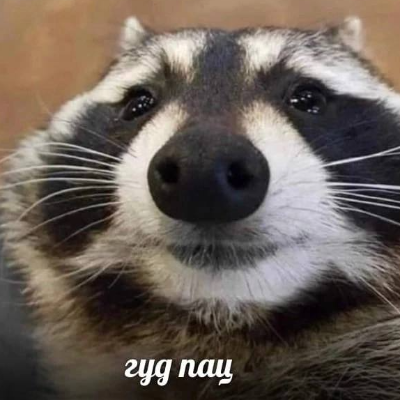 koryaga