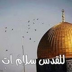 جوكر فلسطين