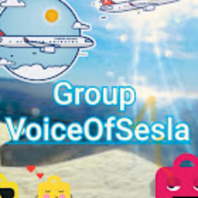 Voice Of Sesla
