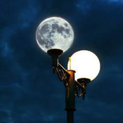 Kolya_gfx