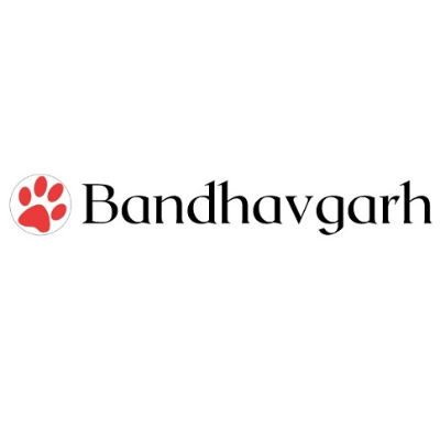 Tiger Safari Bandhavgarh