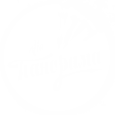 ВИА Панорама