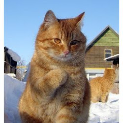 Александр Гонышев