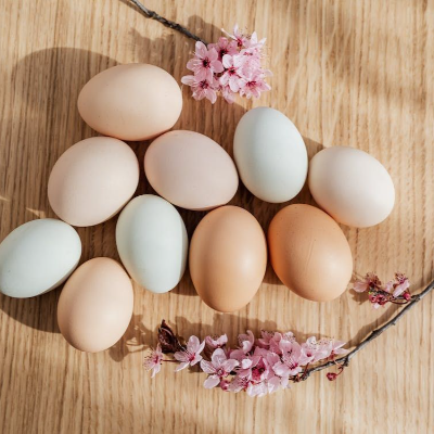 S & R Egg Ranch