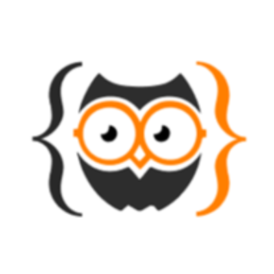 Coding Owls