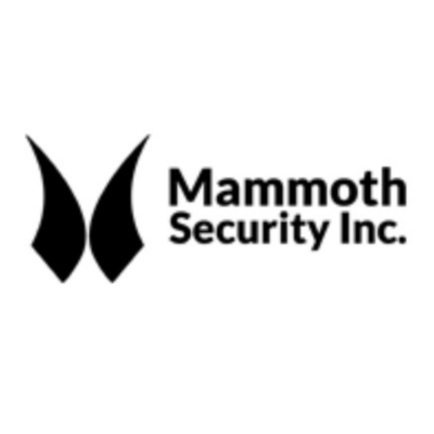 Mammoth Security Inc New Haven