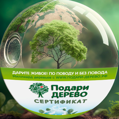 Подари Дерево