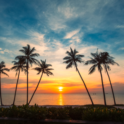 VN_PhotoLife