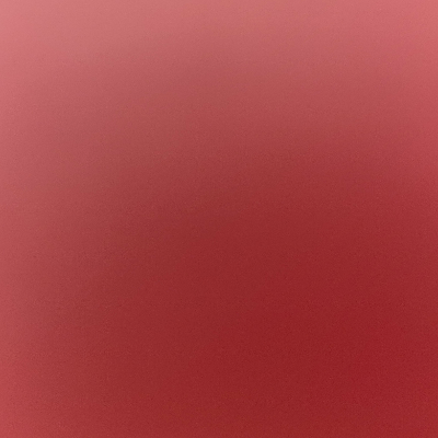 Kaktus