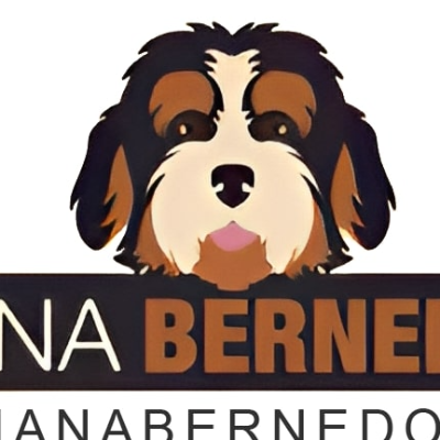 Michiana Bernedoodle