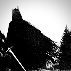 D3STONE