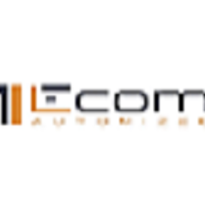 Ecom Automized