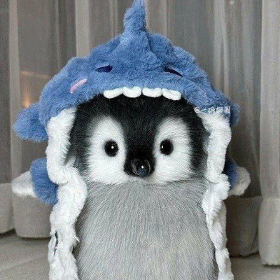 'Penguin Po`
