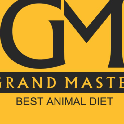 grandmaster