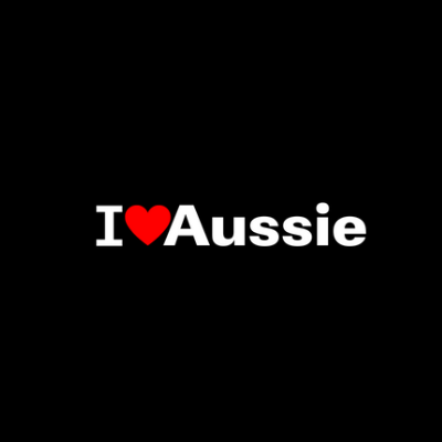 Best Solar Power Installers Perth
