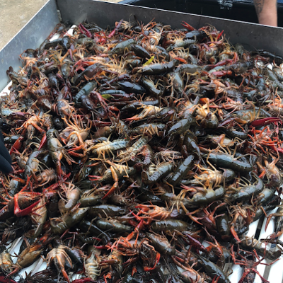 C.E Seafood and Produce