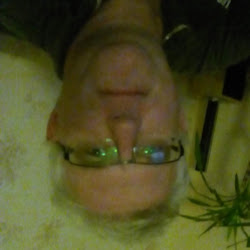 Pissflipp