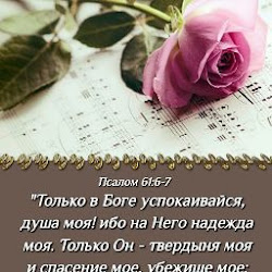 мсц ехб