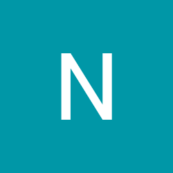 Nikita Dmitirev