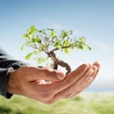 All Seasons Tree Service
