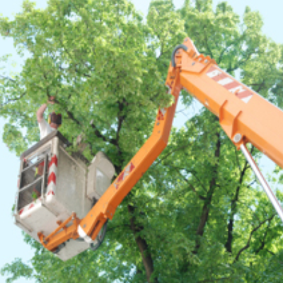 Leon's Tree Service