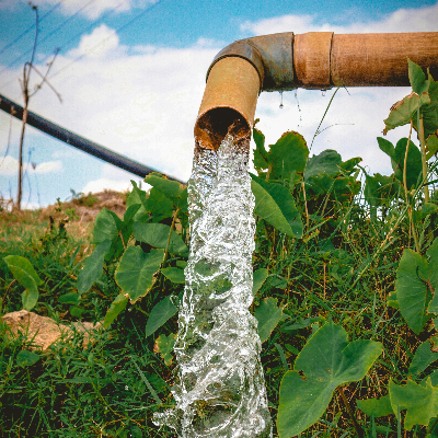 Wilkinson Well & Pump