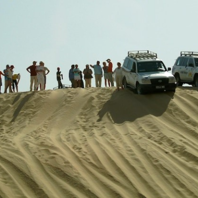 Desert Cruiser Tourism